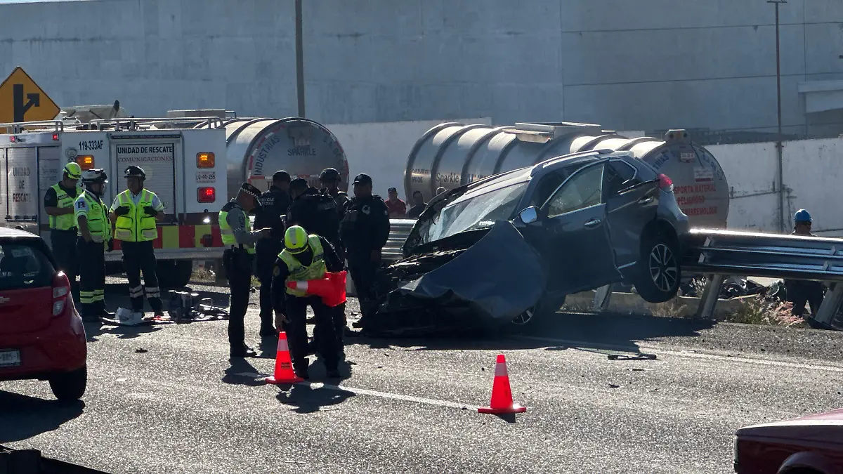 WhatsApp Image 2026-02-21 at 11.16.32 AM