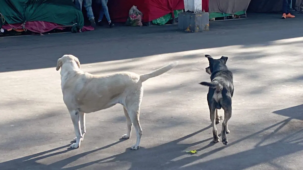 ec1c4911-c403-40f9-a840-f9e2ac229e55