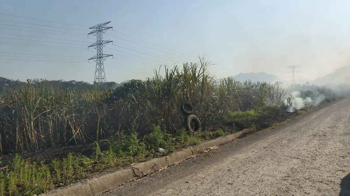 Quema agrícola controlada