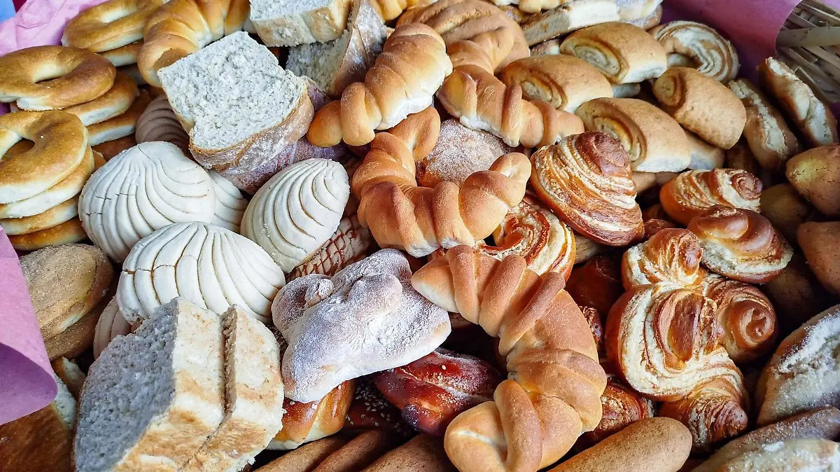 476237433_596772493245452_4169834174147623330_n