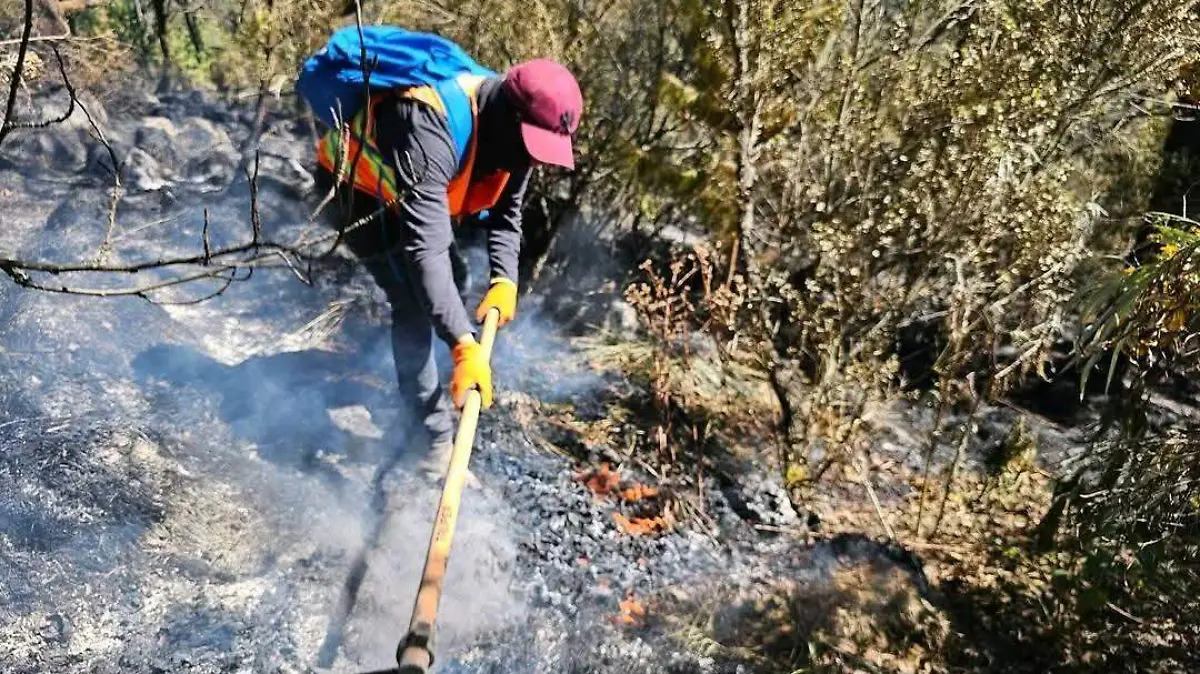 Brigadistas intentan controlar el fuego