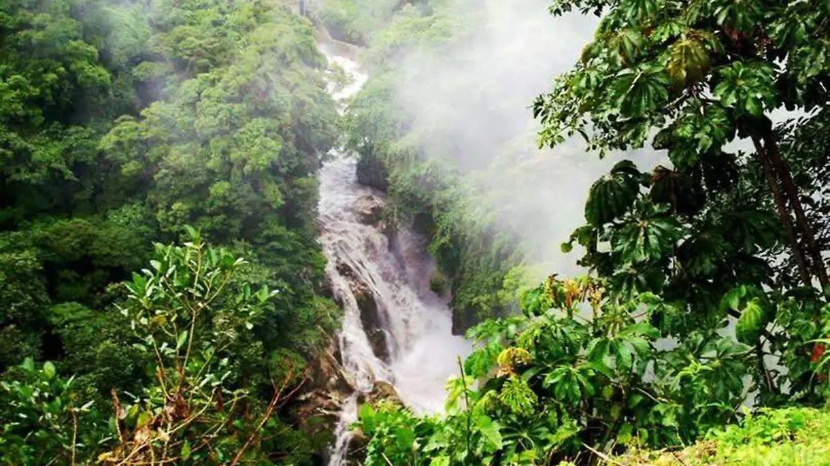 491765164_2441929159490496_8108629743807523163_n