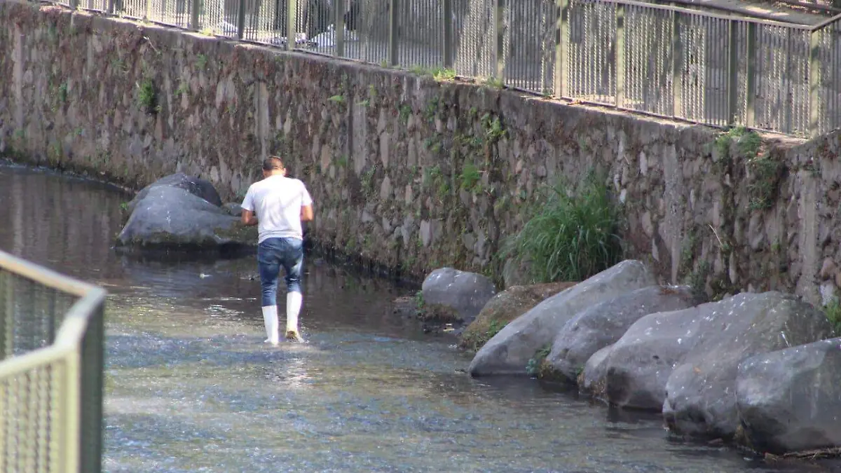 00c91cdd-b83b-43b3-85cb-12a2308678bb