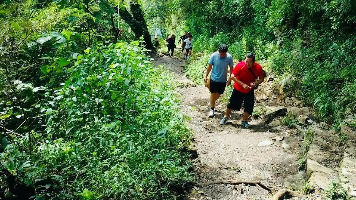 Cerro del Borrego (sendero)-1