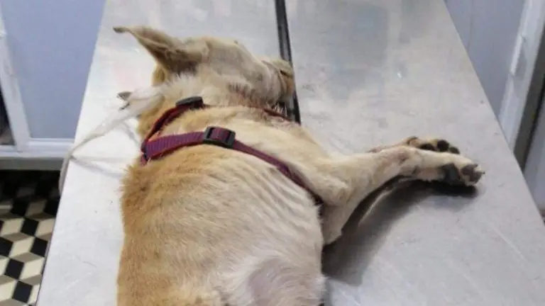 IMG-20260315-WA0022_edit_13275455633163