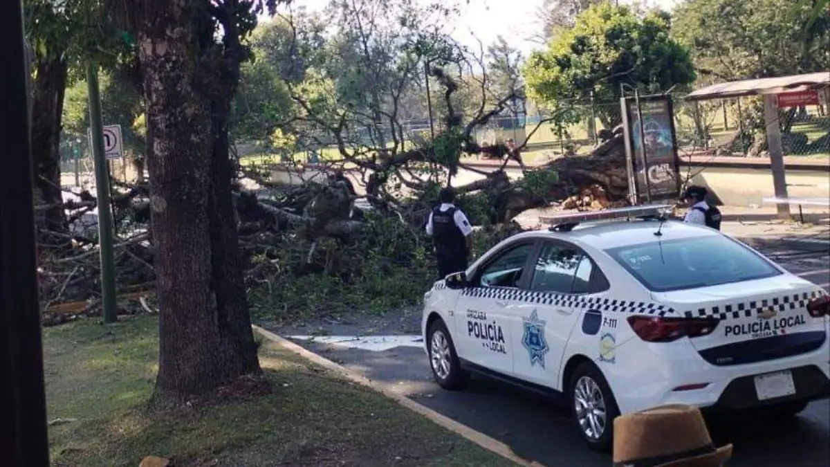 IMG-20260315-WA0083_edit_16279322789309