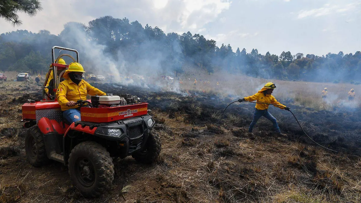 1021407_PROBOSQUE quema controlada_web