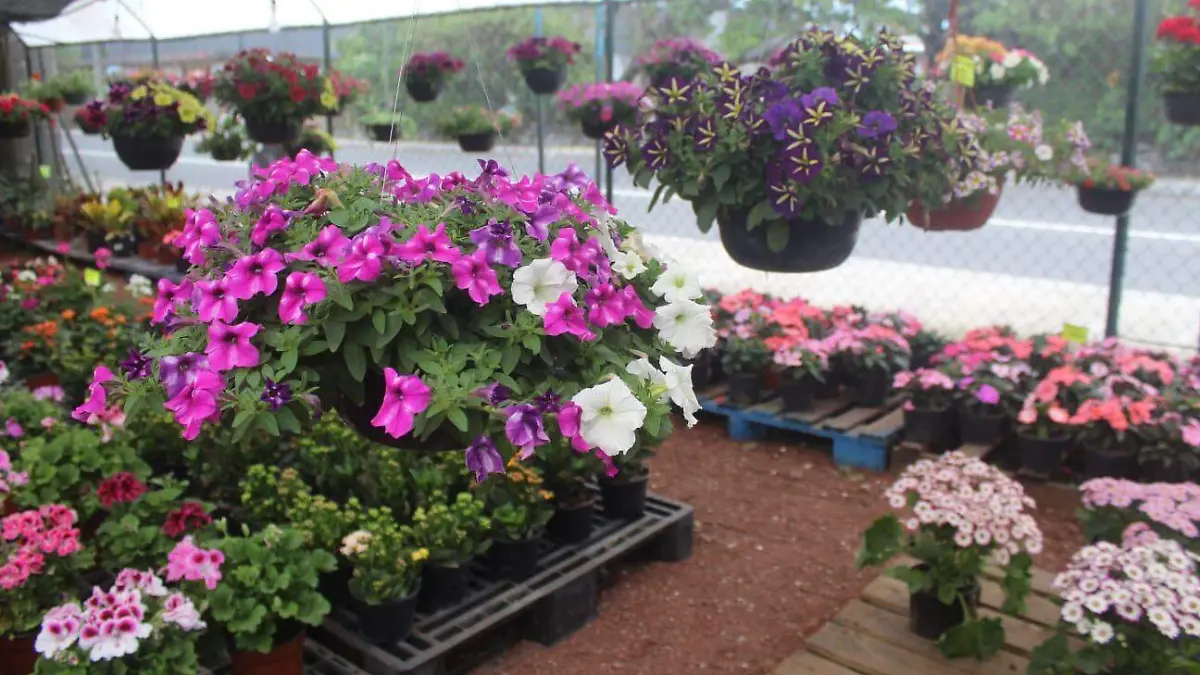 14bdfc3b-6a4c-423e-bebb-9ce7b6568fd6