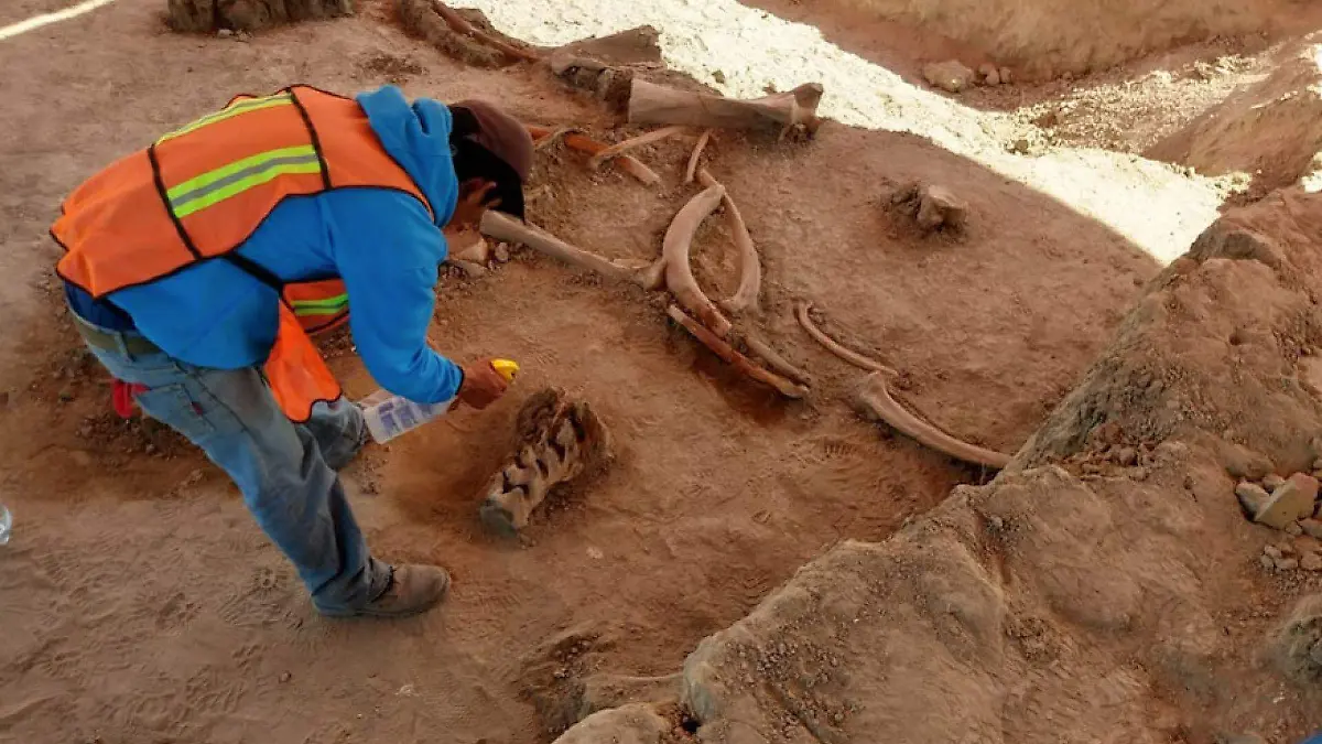 760682_Hallazgos Arqueológicos AISL_web (1)