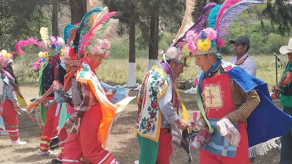 IMG_20260327_130239_1