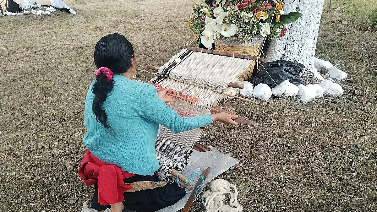 Elaboración de textiles