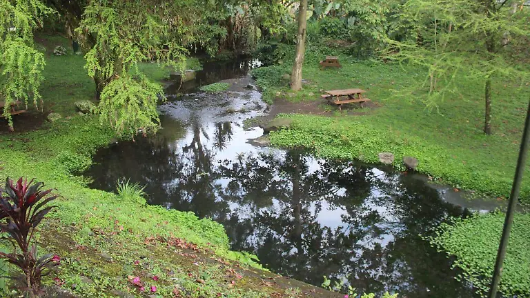 5ee2436f-fa0e-4e8f-b7a2-074cfec3f81d