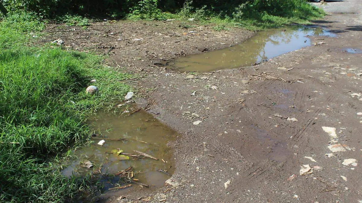 20b0afef-fa25-44e4-882d-86c1aa507790