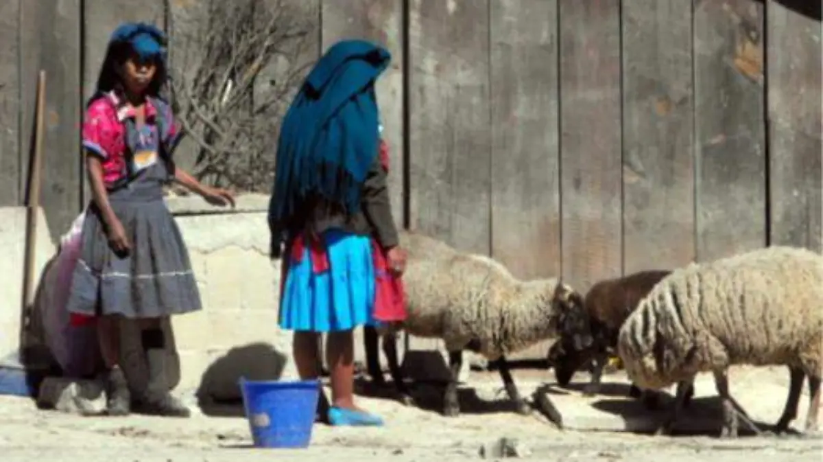 1-s2.0-S0185122513710075-gr7