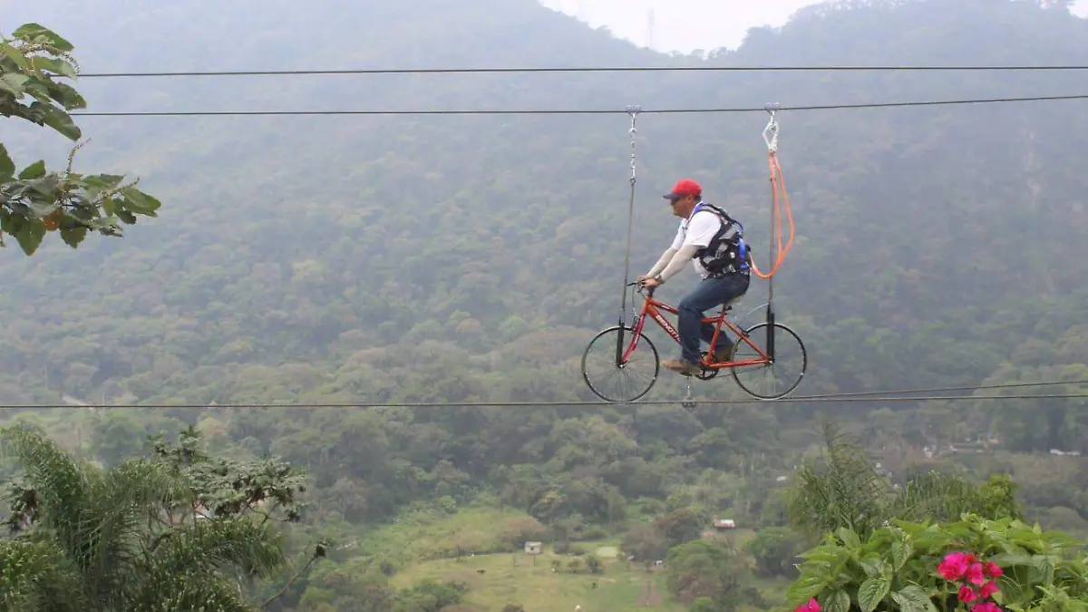 85fc6914-a91d-4ce6-8051-25a306c89998