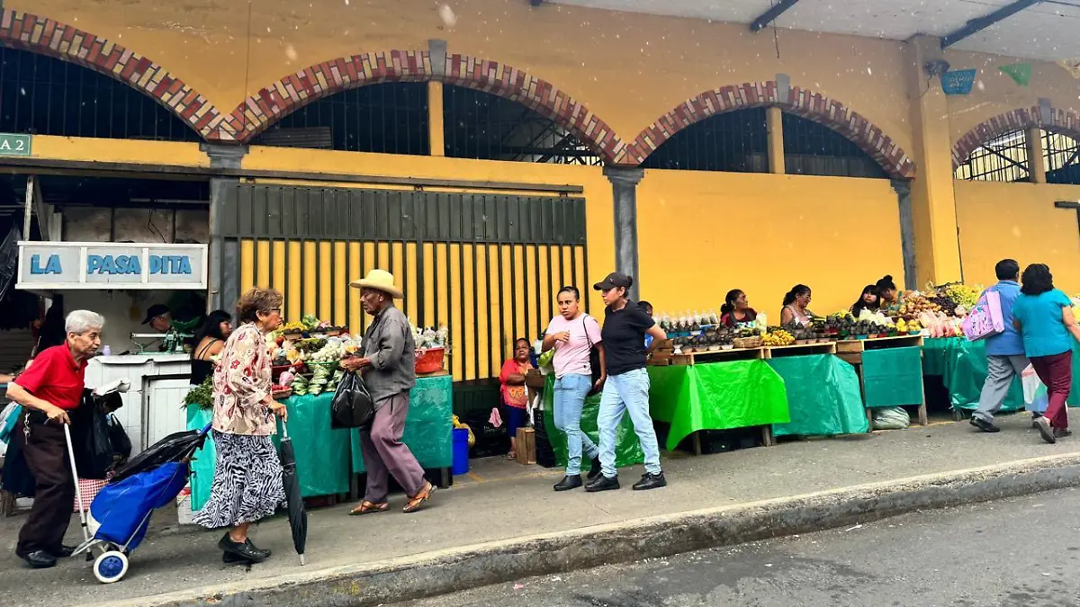 Mercados de Orizaba