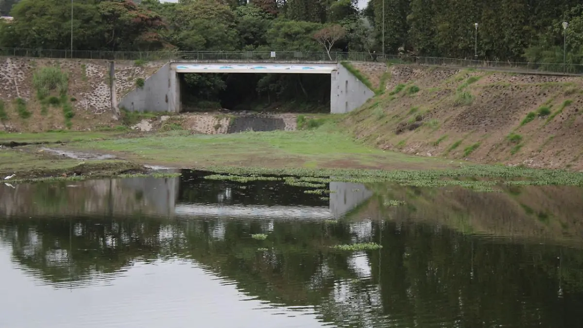 Vaso Regulador Chirimoyo