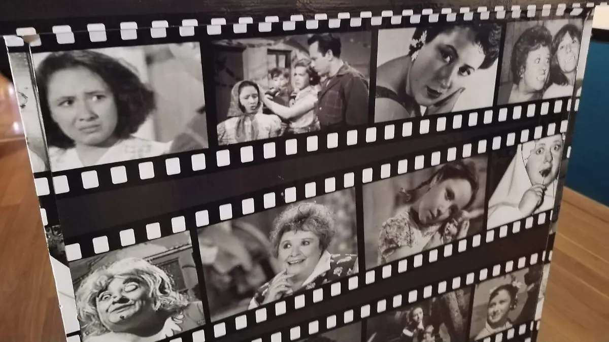 WhatsApp Image 2026-04-12 at 15.35.31