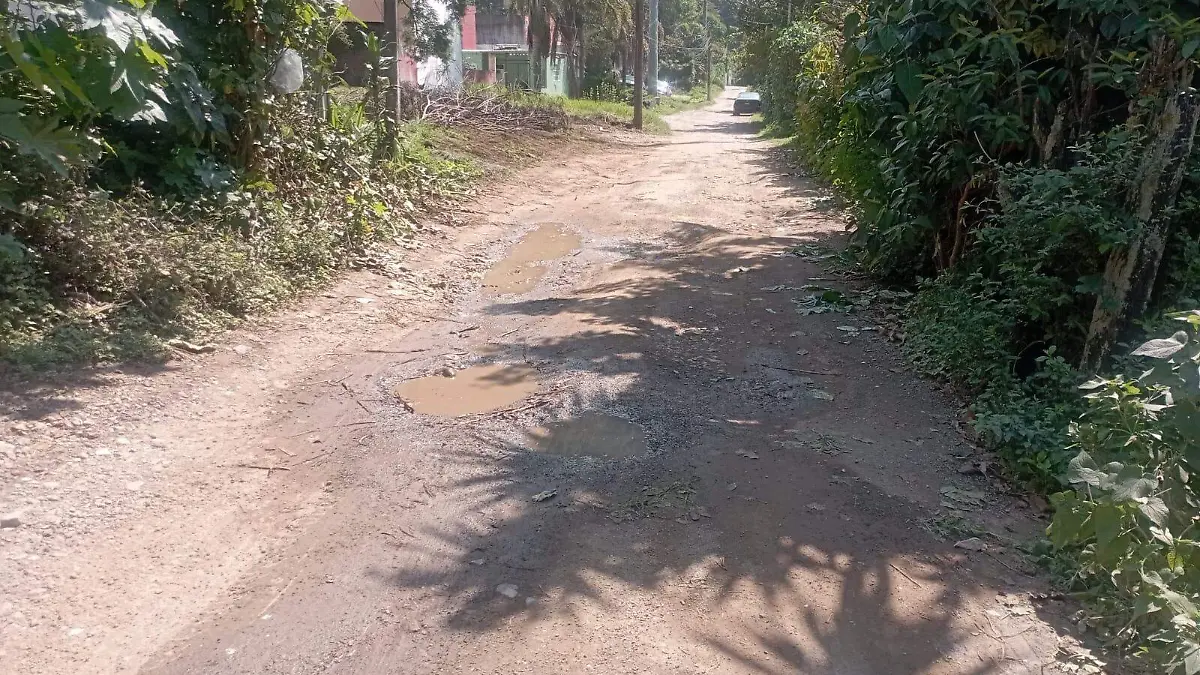 ed8064b9-adcd-40c1-a8cc-e1355c830842