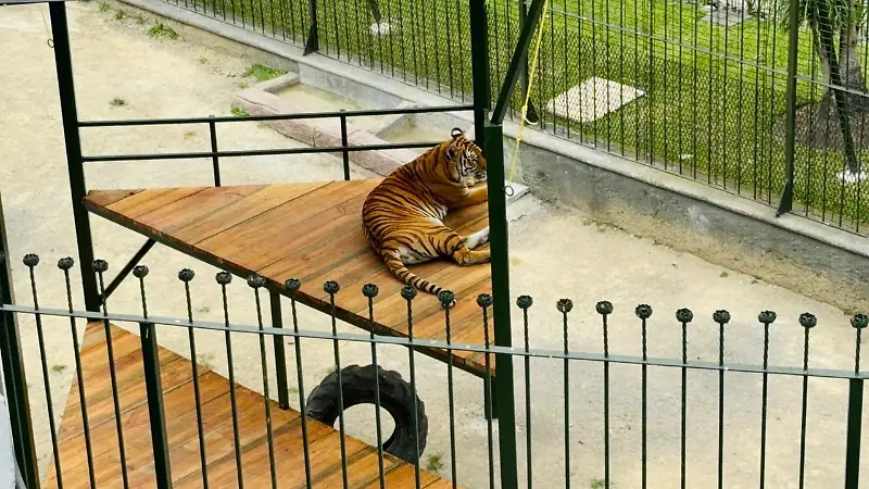 Reposadero
