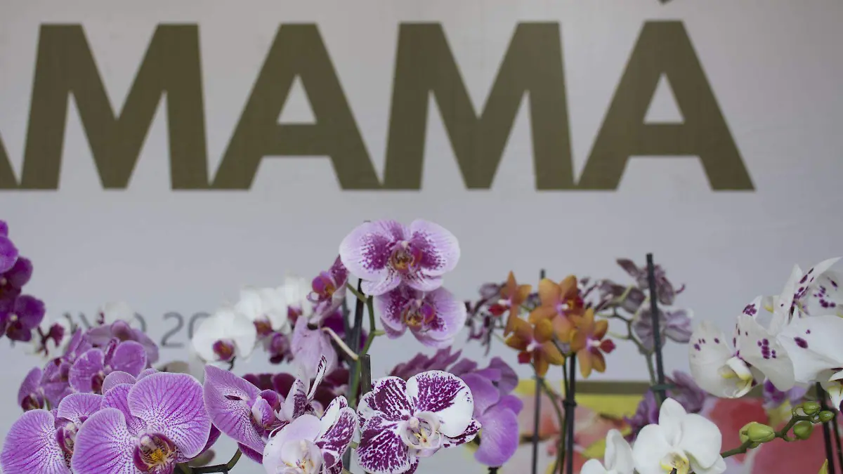 604426_Flores para mamá_web