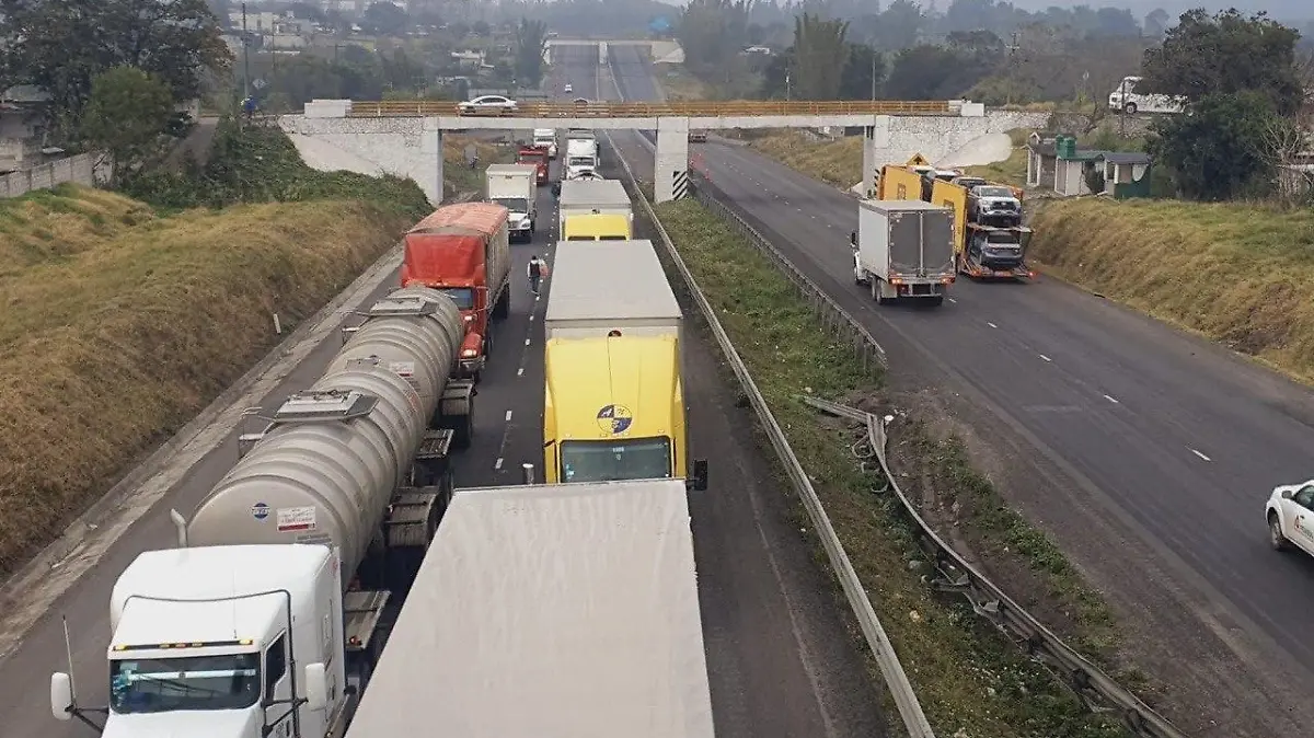 Transporte de carga