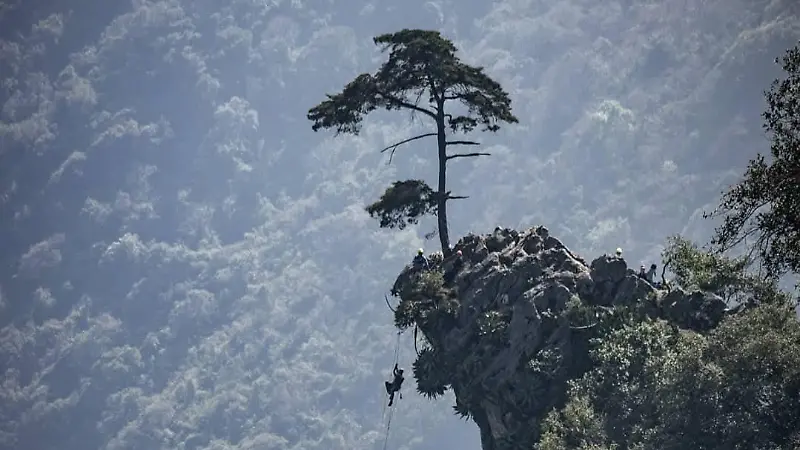 Cañón del Río Blanco