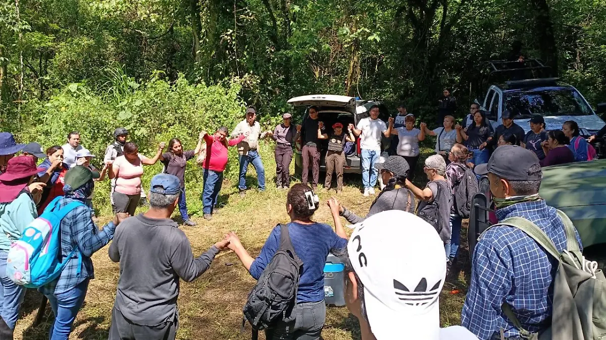 colectivo de búsqueda-1