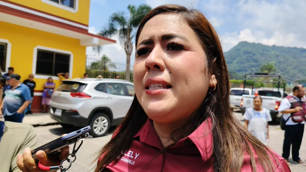 Nallely Mendoza Camarillo, diputada local, presidenta de comisión de Turismo en Congreso
