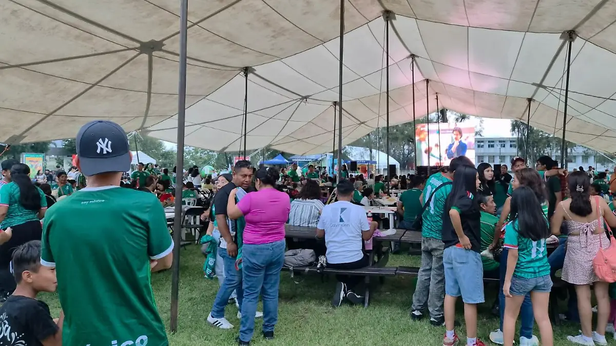 Zona Fut-2