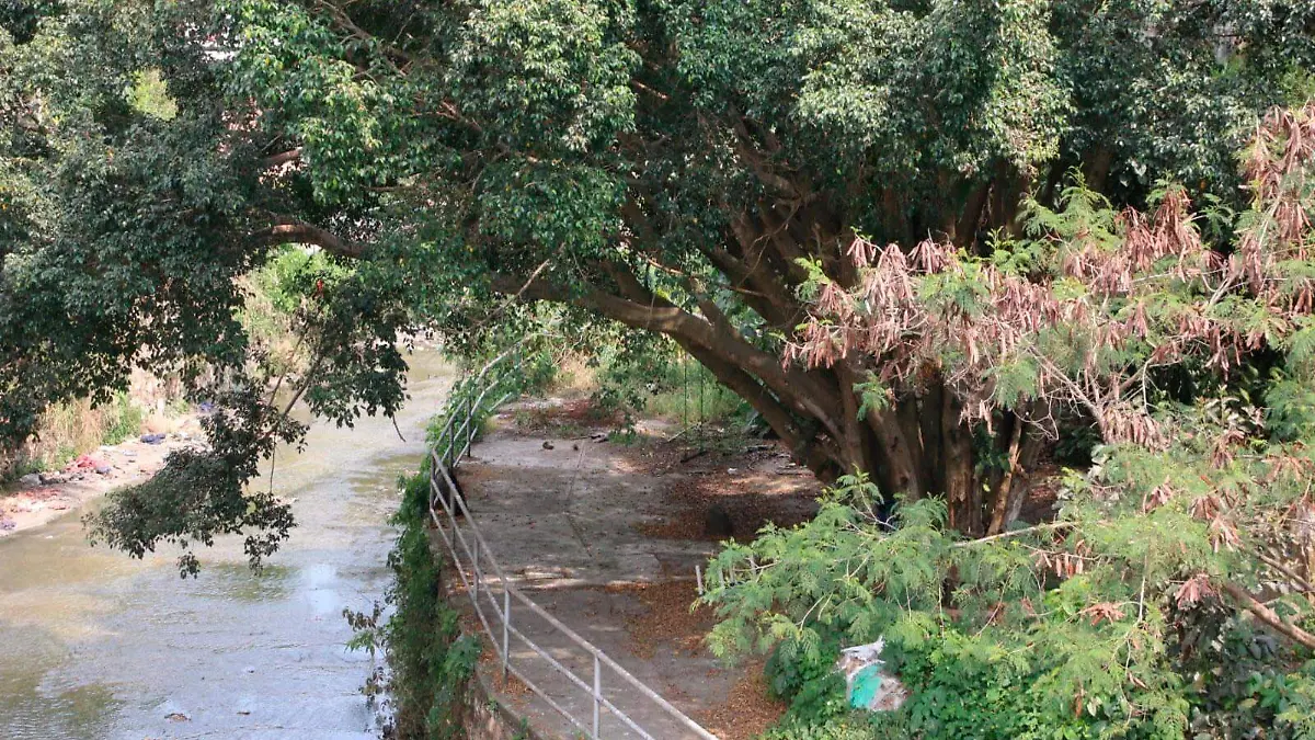 Río-Sordo