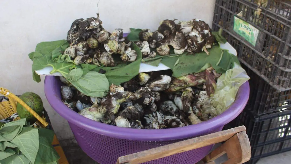 Huitlacoche