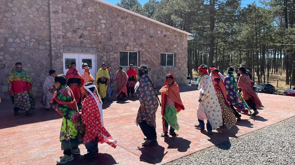 WhatsApp Image 2024-04-20 at 11.18.34 AM