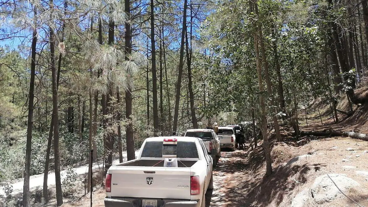 muerte sierra