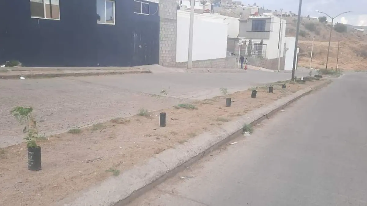 proyecto foto margarita olivas