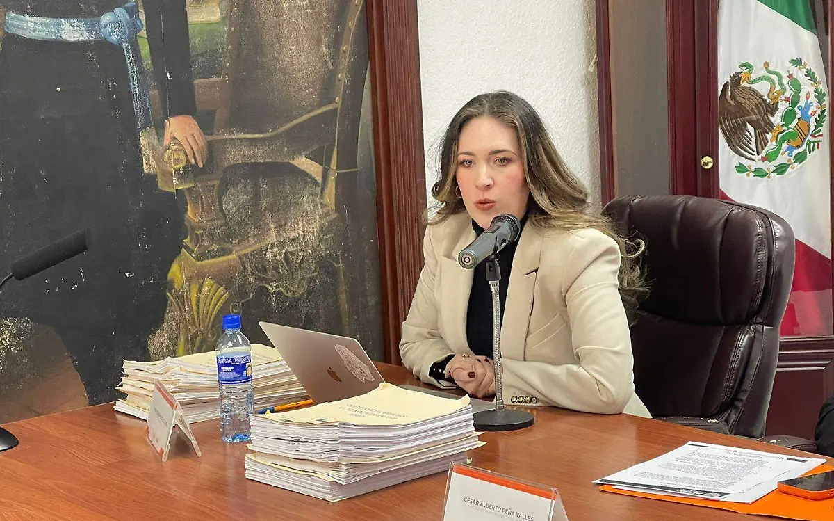 Alma portillo