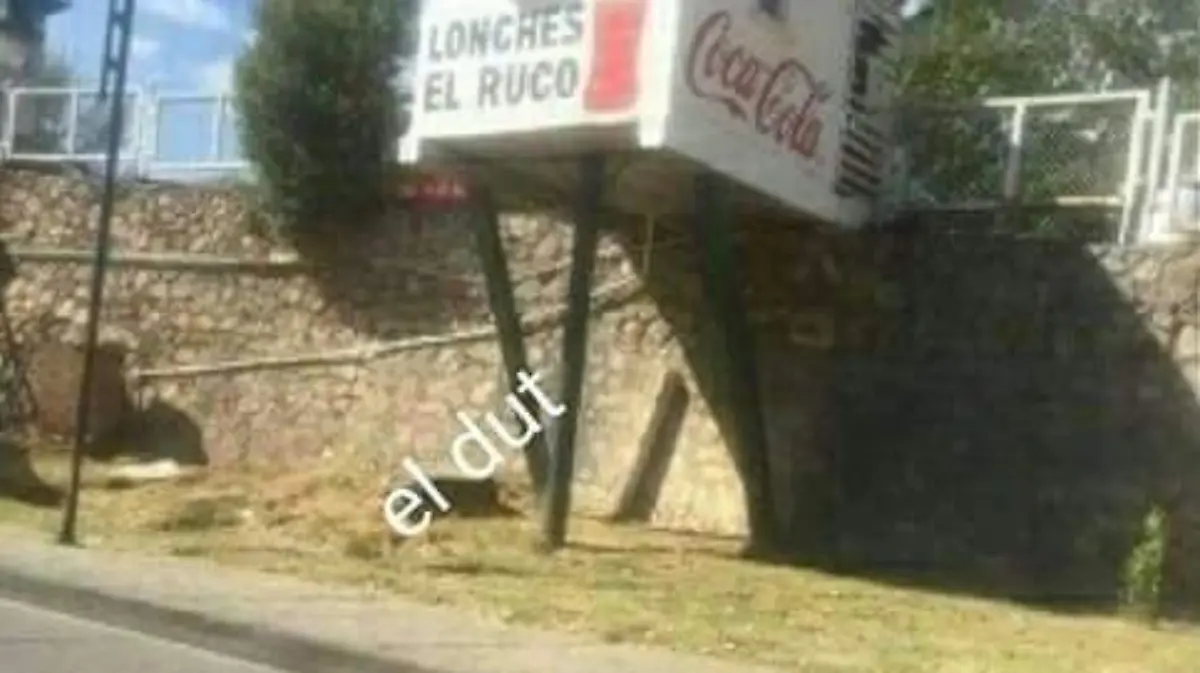 Lonches 2