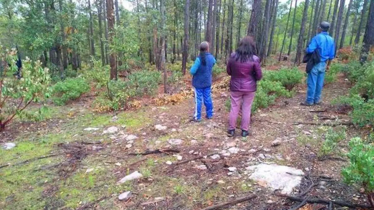 Desaparecidos 1 - archivo