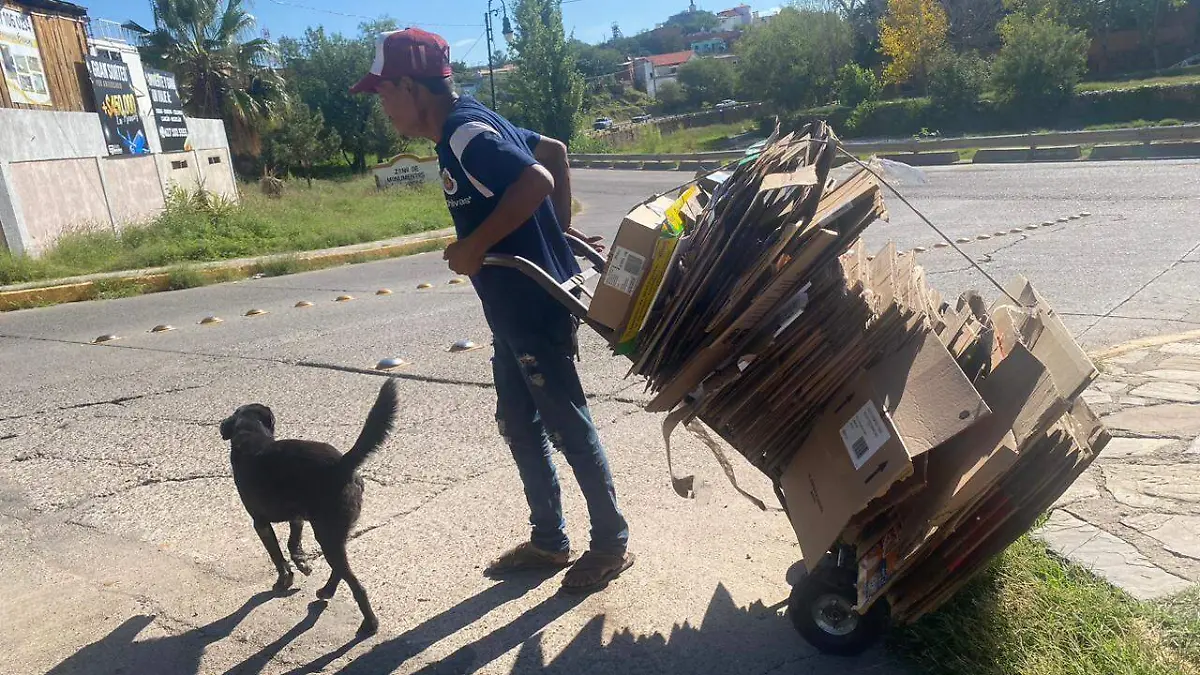 CARTON 3