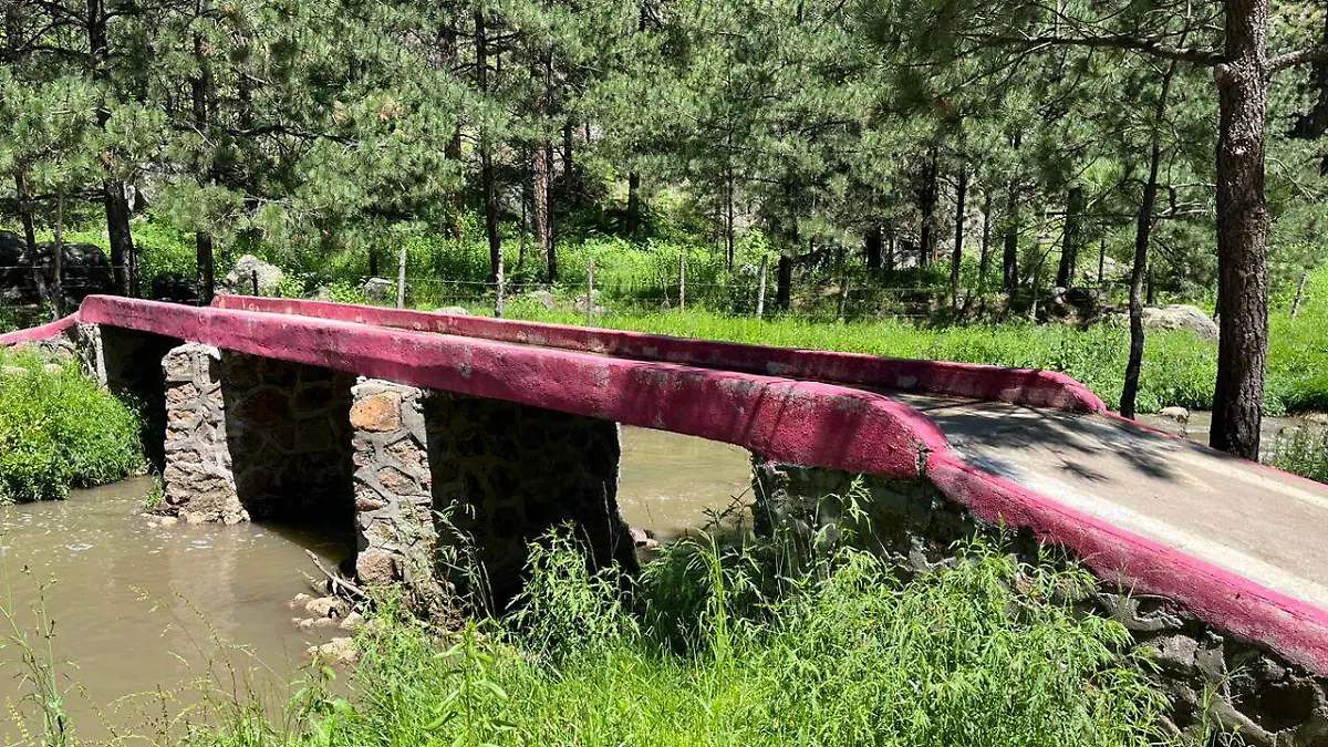PUENTES... GOBIERNO DE GUACHOCHI