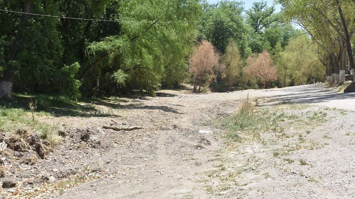 ALLENDE2... ISAAC MOLINA