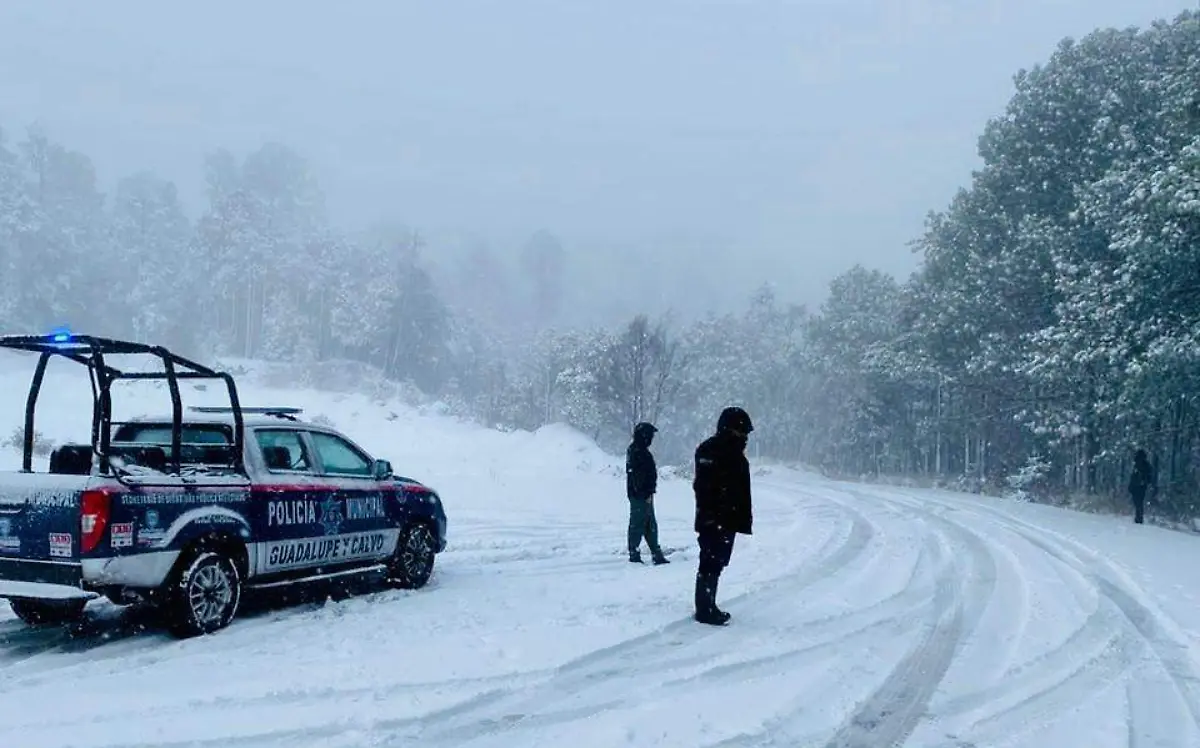 Nieve en Guadalupe y Calvo