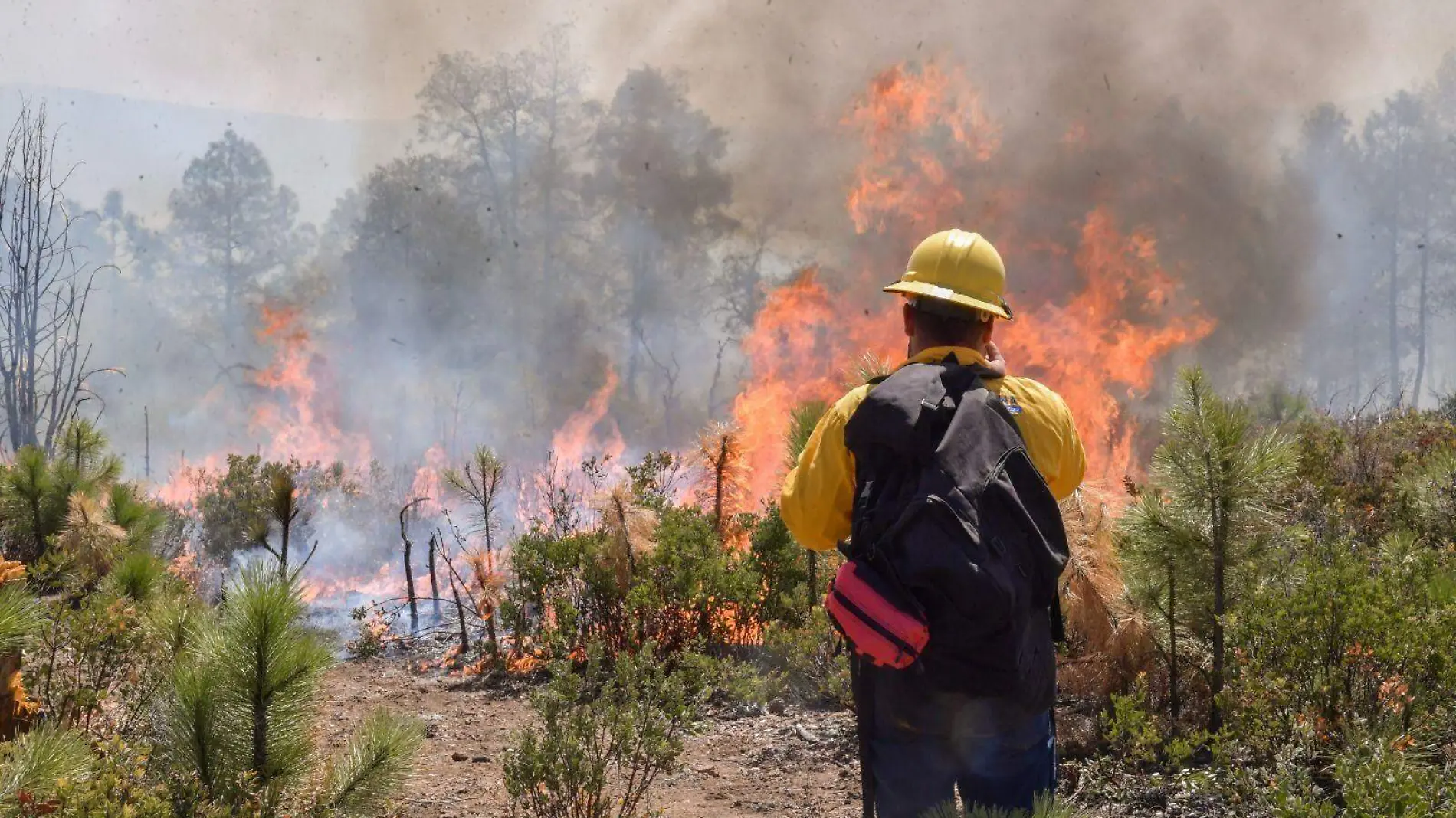 incendios