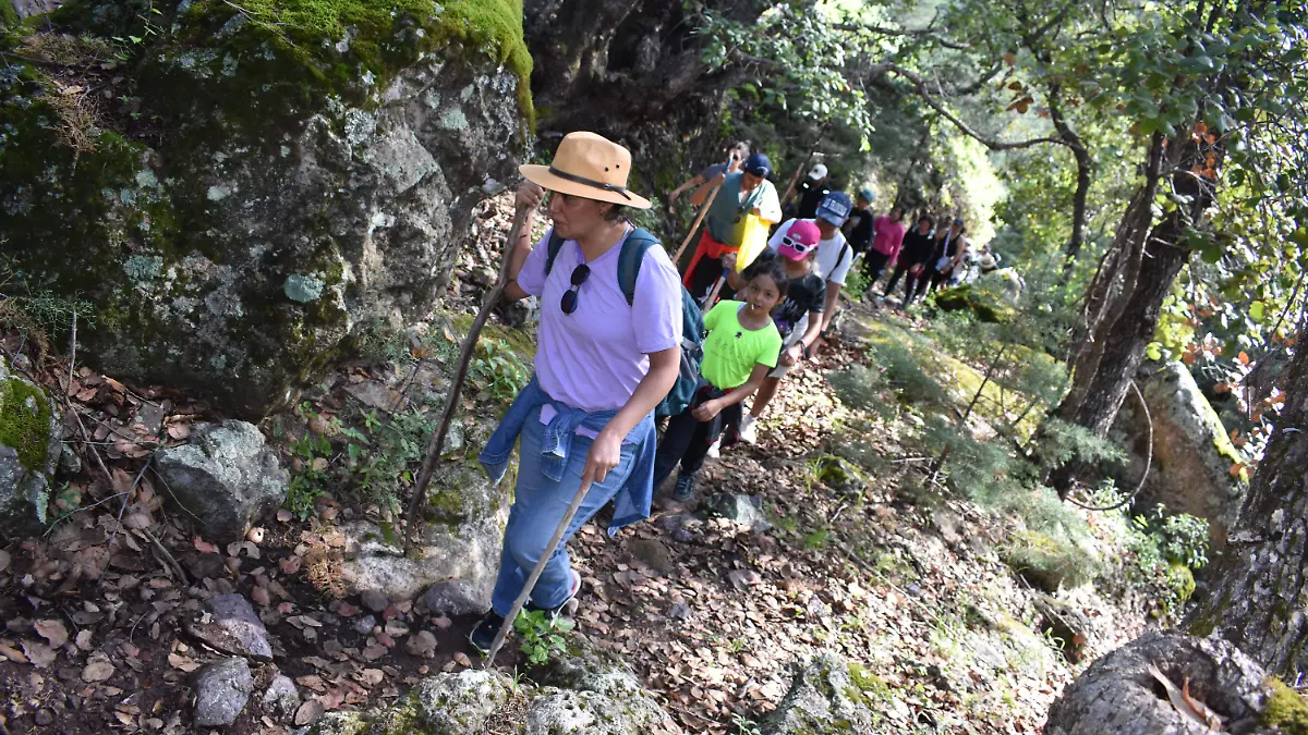 Caminata 2