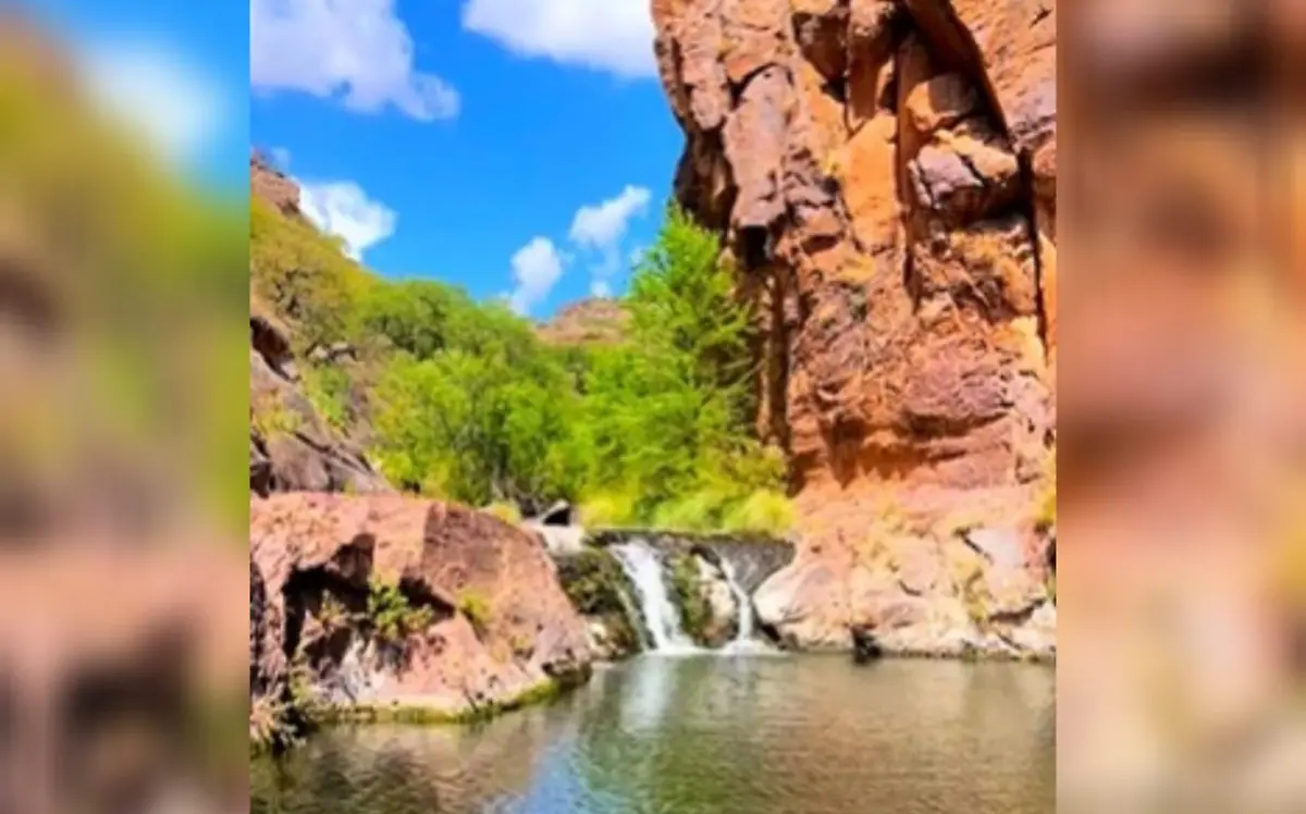 porvenir el salto 1