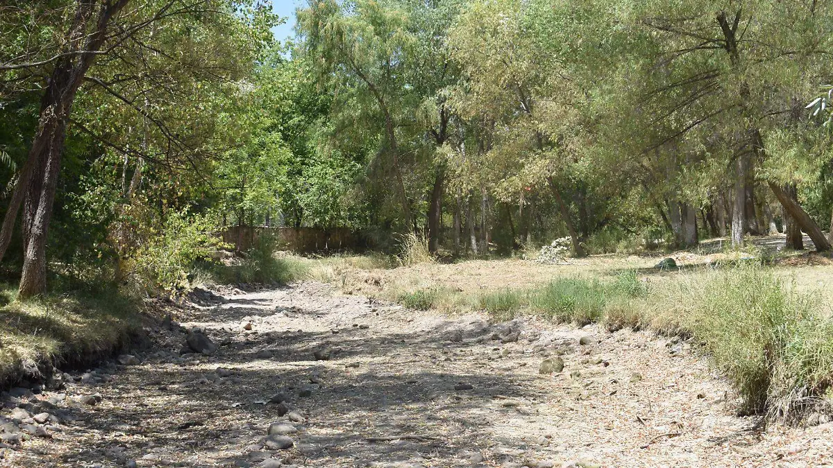 ALLENDE1... ISAAC MOLINA