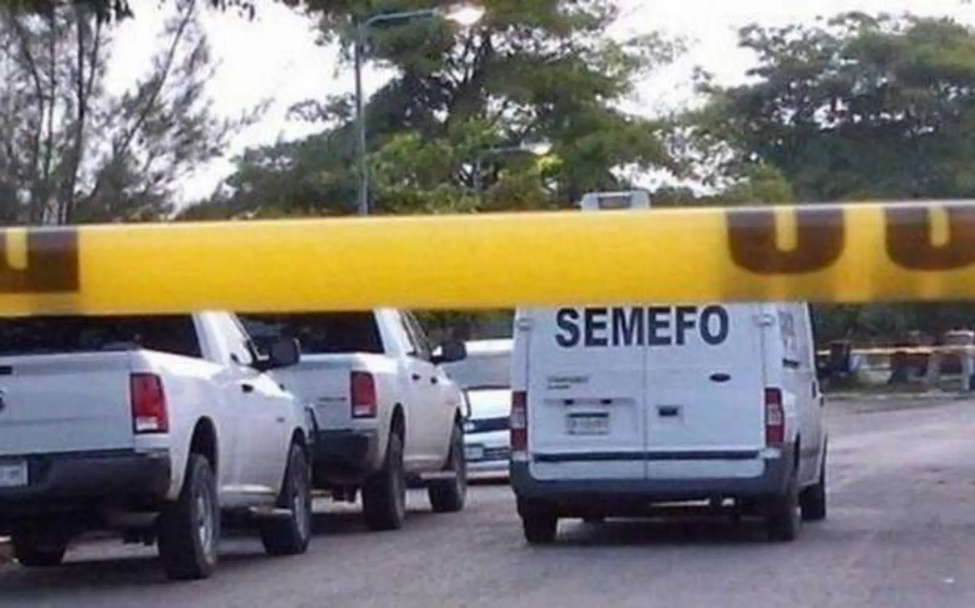 Semefo