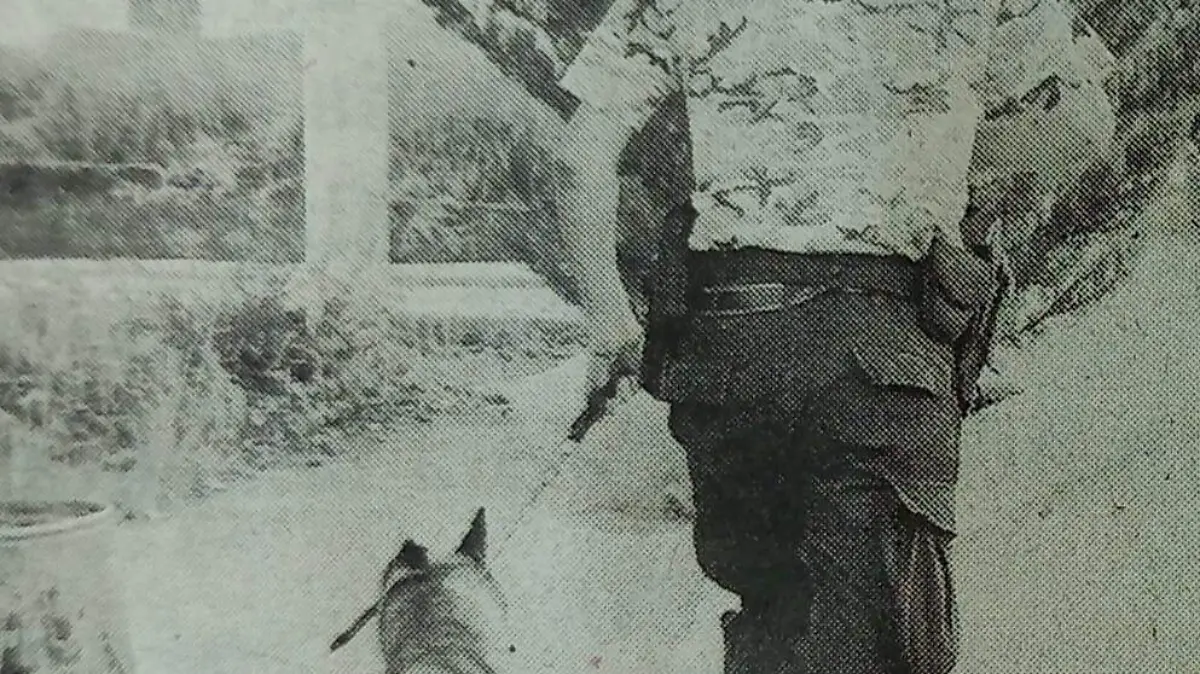 2f708d87-c358-4d3f-a04d-2b9c8f209a60