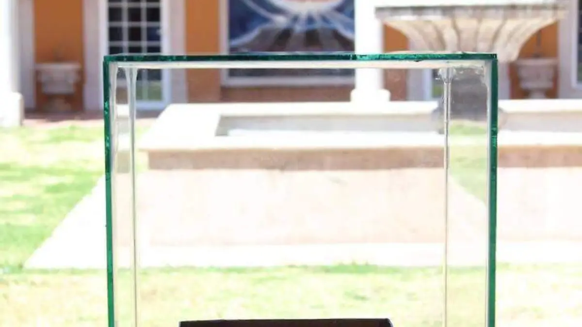 METEORITO 2 CORTESIA ASOCIACION CIVIL METEORITO DE ALLENDE (1)