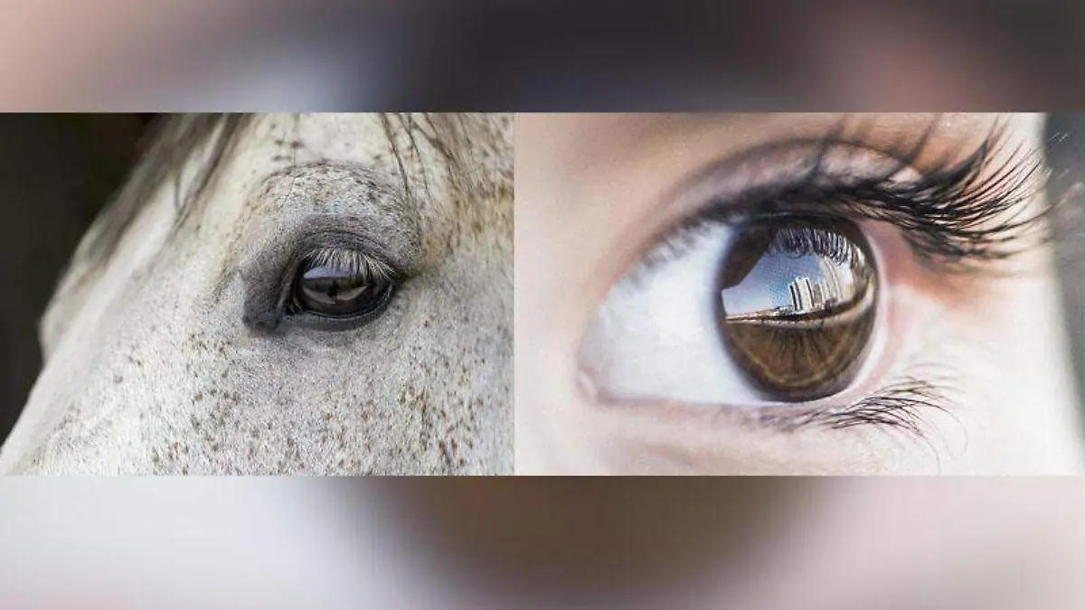 OJOS